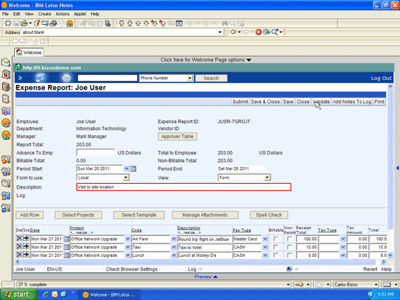 Lotus Notes expense reports