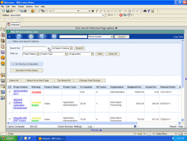 Project delivery reports