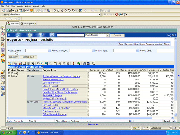 Project portfolio reports