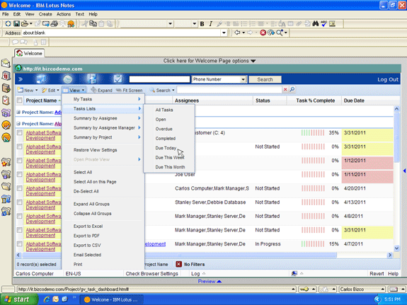 Manage project reports within Lotus Notes