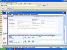 Project status reports